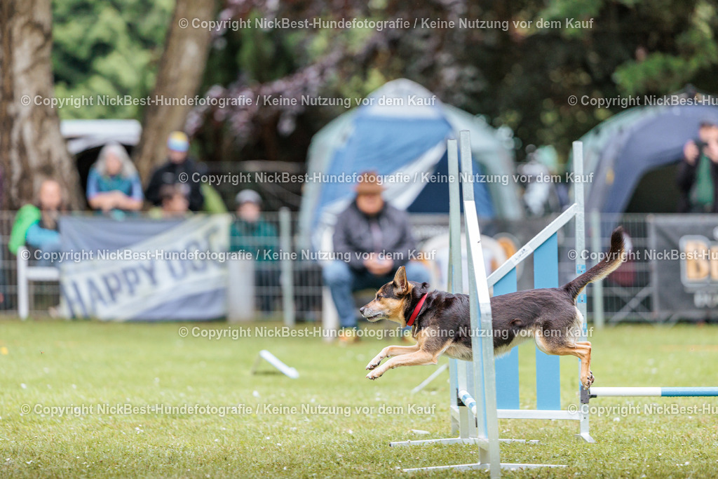 RO-Blumenthal-2026-Nickbest-Hundefotografie-4520 | Dein Hund! Dein Moment! Deine Erinnerungen! Hundefotografie in Bremen Blumenthal. Ich fange die besonderen Momente deines Vierbeiners ein – ob Indoor mit Blitzanlage oder in der freien Natur. Sicher dir dein Moment und dein Termin für eure Erinnerungen.