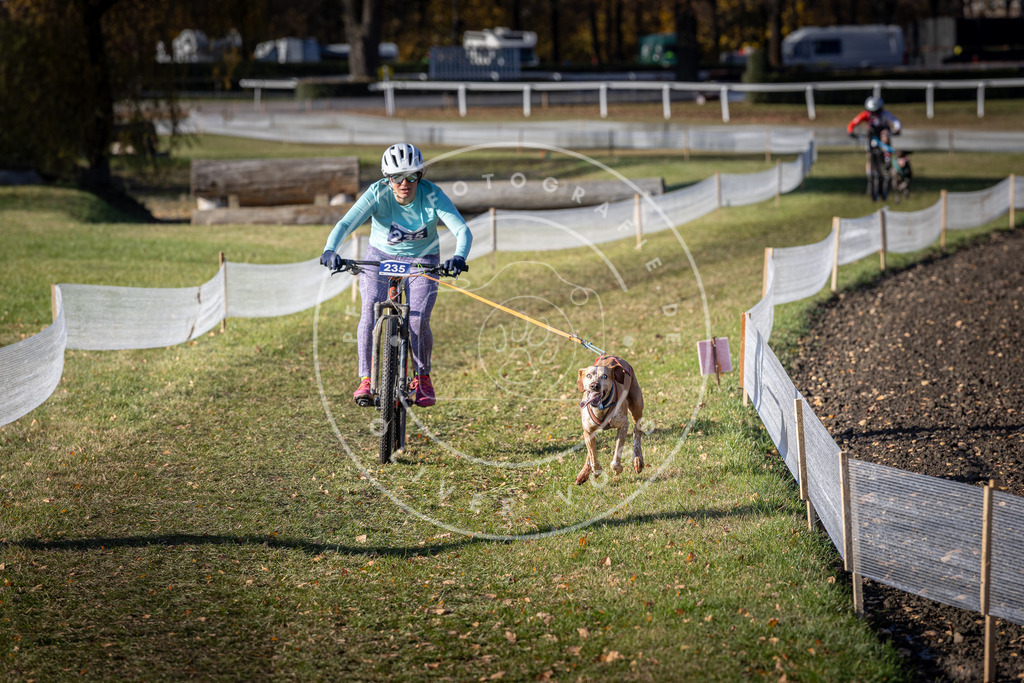 CaniXpix_DV3A4026 | Hundefotografie, Tierfotograf, Pfotenfotografie, Fotoshooting Hund, Hunde Portrait, Hundesport, Hundeportraits, Heideshooting, Hunde, Sportfotograf, Hundefotograf, Turnierhundsport, THS,  - Realisiert mit Pictrs.com
