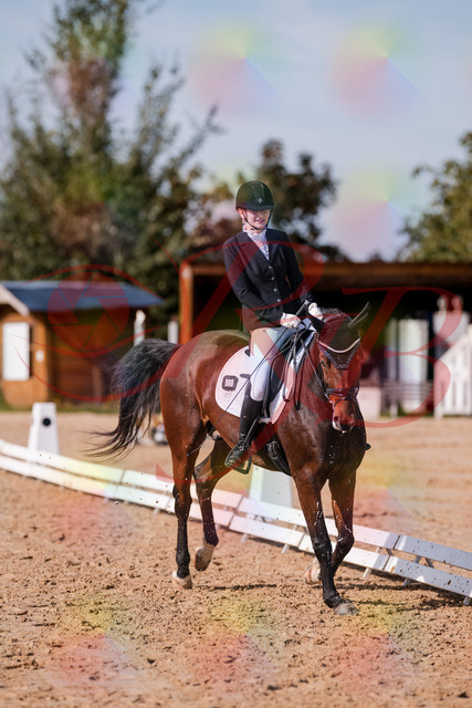2026_10_03_Siefer-Hof_125759_Z81_47446885 | Professionelle Reitsport-, Turnier- und Eventfotografie von Robert Broda. Galerien mit ausgewählten und bearbeiteten Bildern direkt online ansehen und bestellen.
