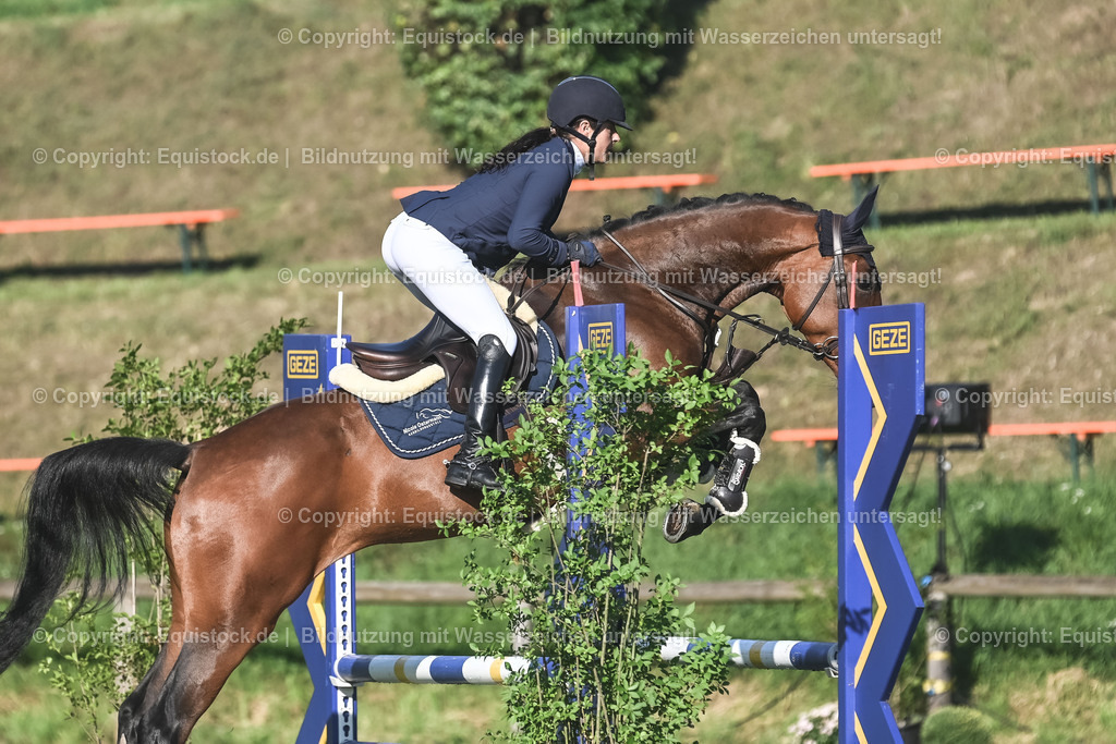 20230908_14-15_Springpferde-A_0063 | equistock