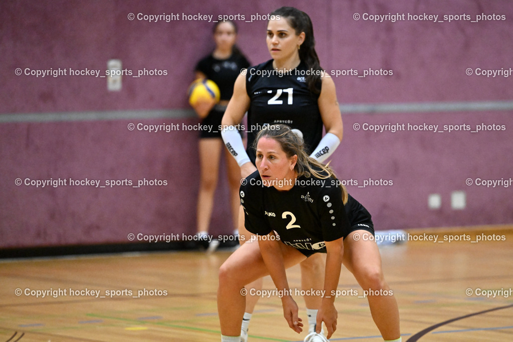 ASKÖ Volley Eagles vs. VCH Hausmannstätten 26.10.2023 | hockey sports photos, Pressefotos, Sportfotos, hockey247, win 2day icehockeyleague, Handball Austria, Floorball Austria, ÖVV, Kärntner Eishockeyverband, KEHV, KFV, Kärntner Fussballverband, Österreichischer Volleyballverband, Alps Hockey League, ÖFB, 