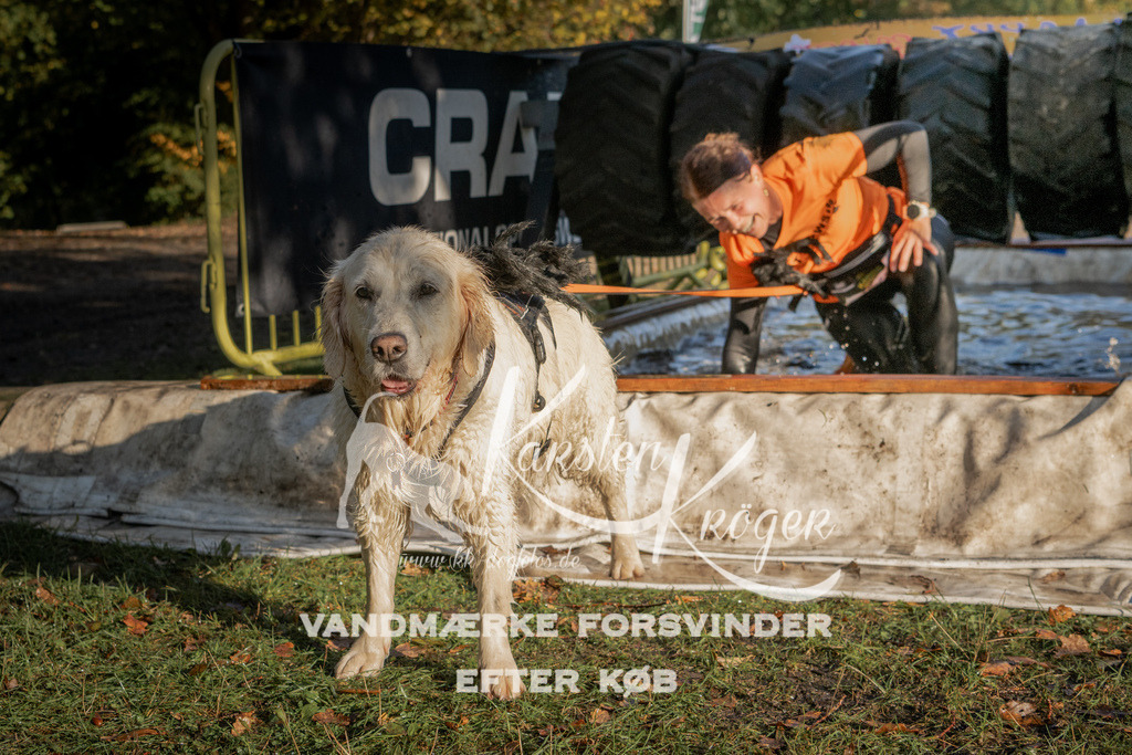 0947_ZZ91912 | kk-dogfotos