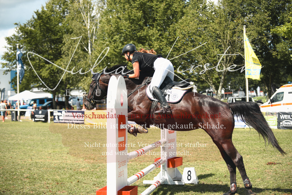 DSC_6689 | Pferde- und Turnierfotografie in Westsachsen. Pferdeportraits, Auftragszeichnungen und intuitive Kunst.
