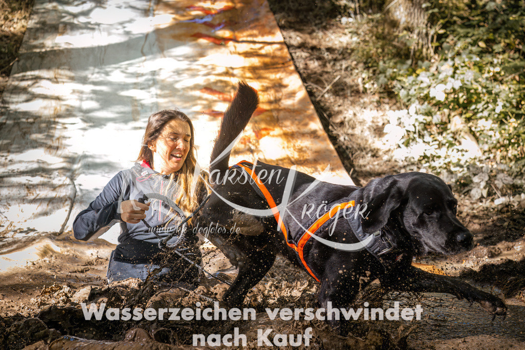 1336_ZZ91940 | kk-dogfotos