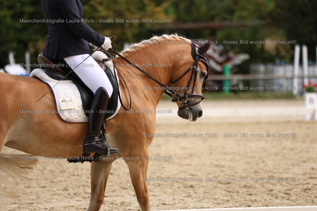 HG9A1494 | laurarinckfotografie - Realisiert mit Pictrs.com