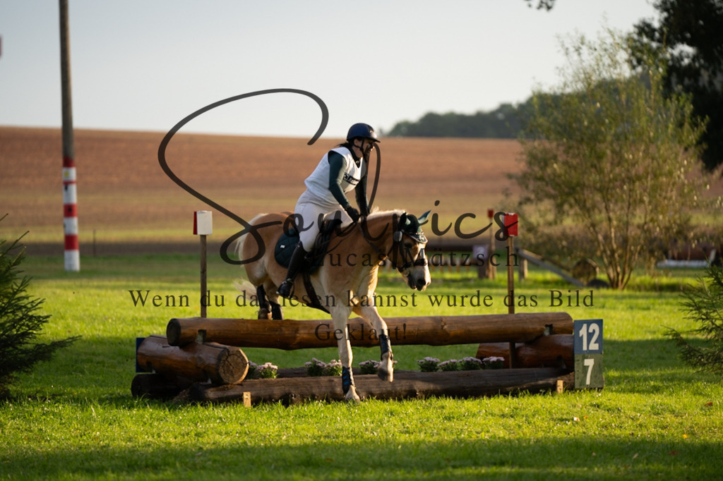 A7V02850 | Turnier/Reitfotograf