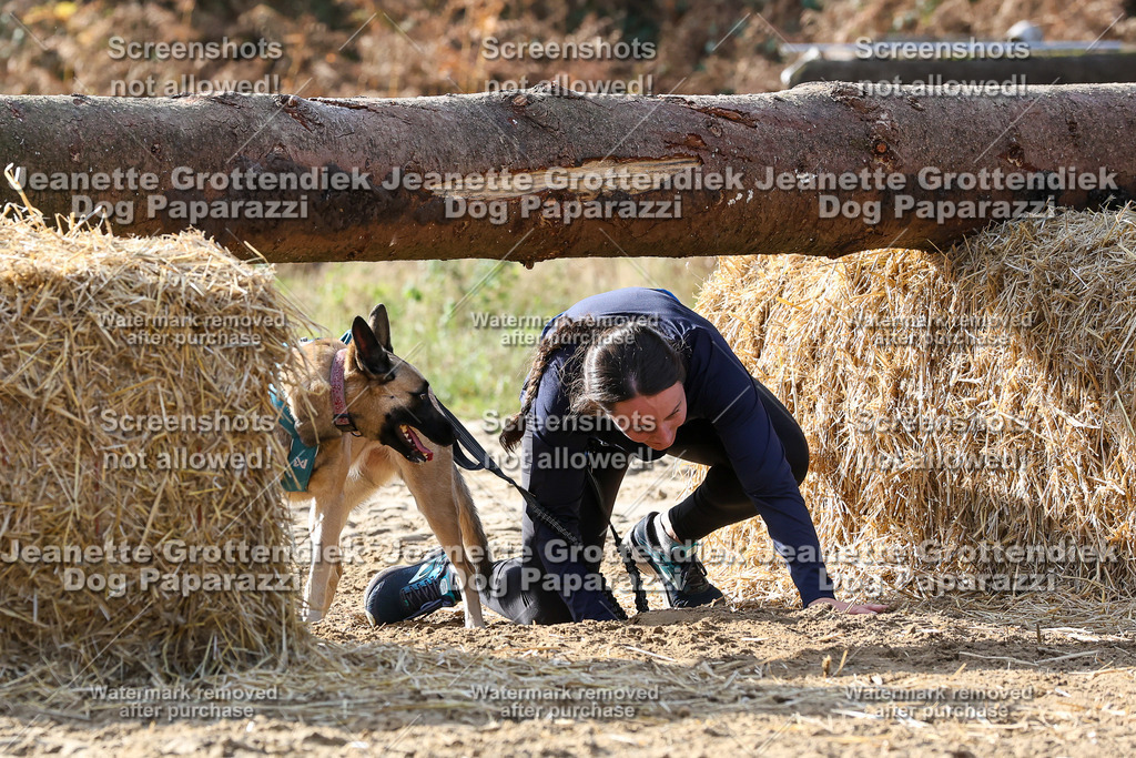 Dog Paparazzi - Strongdog 10-25-5852 | Dog Paparazzi Jeanette Grottendiek Fotografie & Videografie - Realisiert mit Pictrs.com