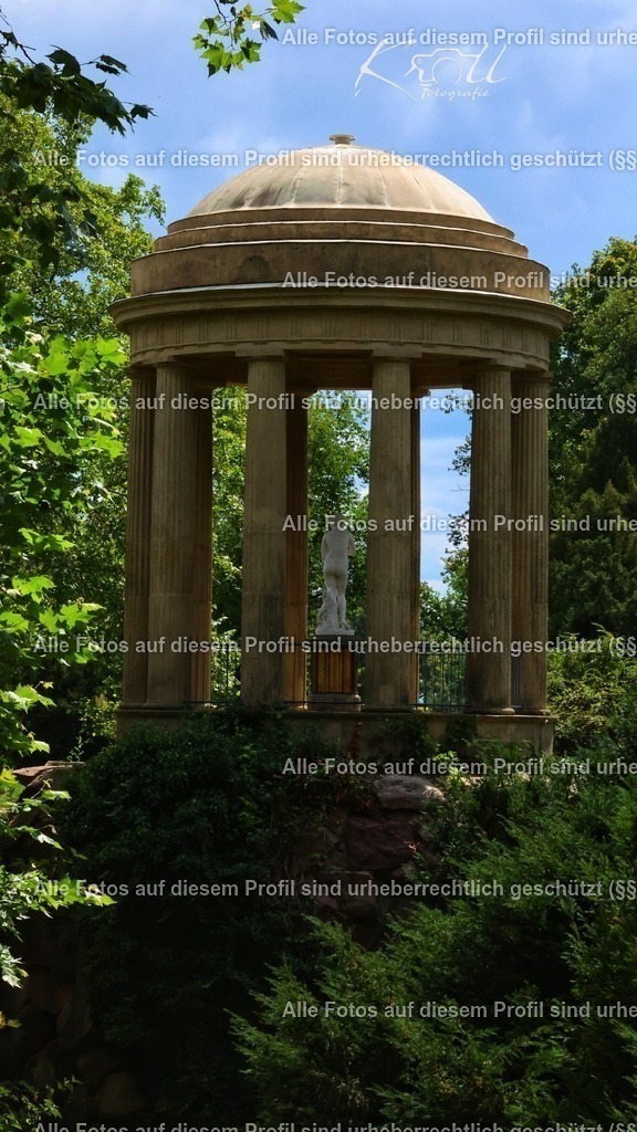 Photo_1753818997243 | krollfotografie - Realisiert mit Pictrs.com