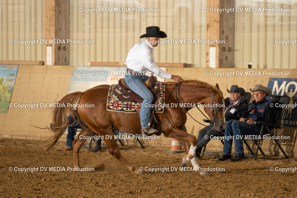 LAU00980 | dv-media-shop - Realisiert mit Pictrs.com