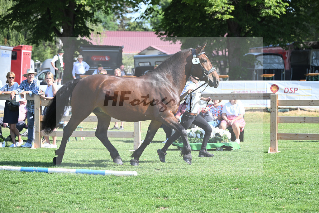 Kat-Nr. 3 Rosalie_Schaffner_20230034 | hf-fotografie - Realisiert mit Pictrs.com