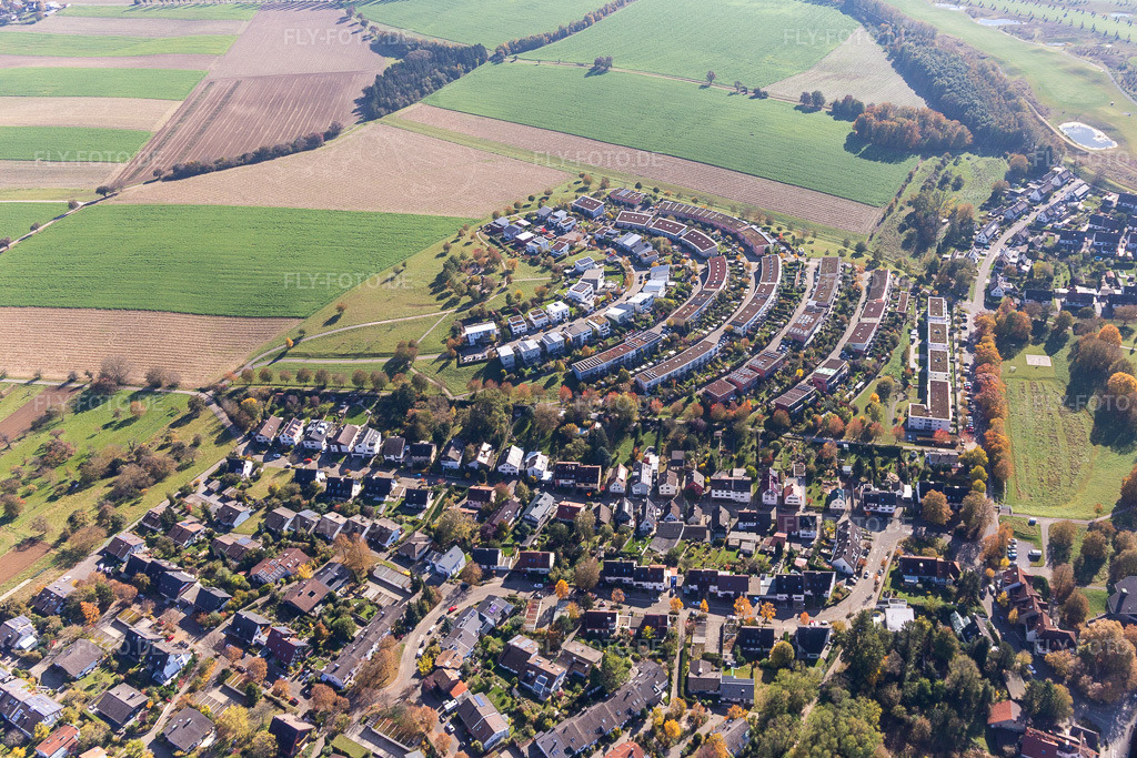Luftbild: Fünfzig Morgen im Ortsteil Hohenwettersbach in Karlsruhe im Bundesland Baden-Württemberg in Deutschland. Foto: IMG_129883.jpg vom 24.10.2021 durch Werner Riehm/FLY-FOTO.de