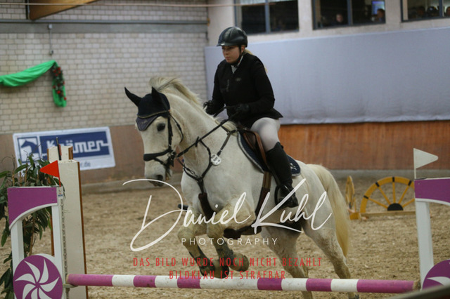 IMG_0711 | Turnierfotos kaufen im Webshop von Daniel Kuhl Photography – entdecke professionelle Reitsportfotos aus Turnieren & Events. Hochwertige Turnierbilder online bestellen & sichern. Jetzt Fotos von Reitsportturnieren kaufen!