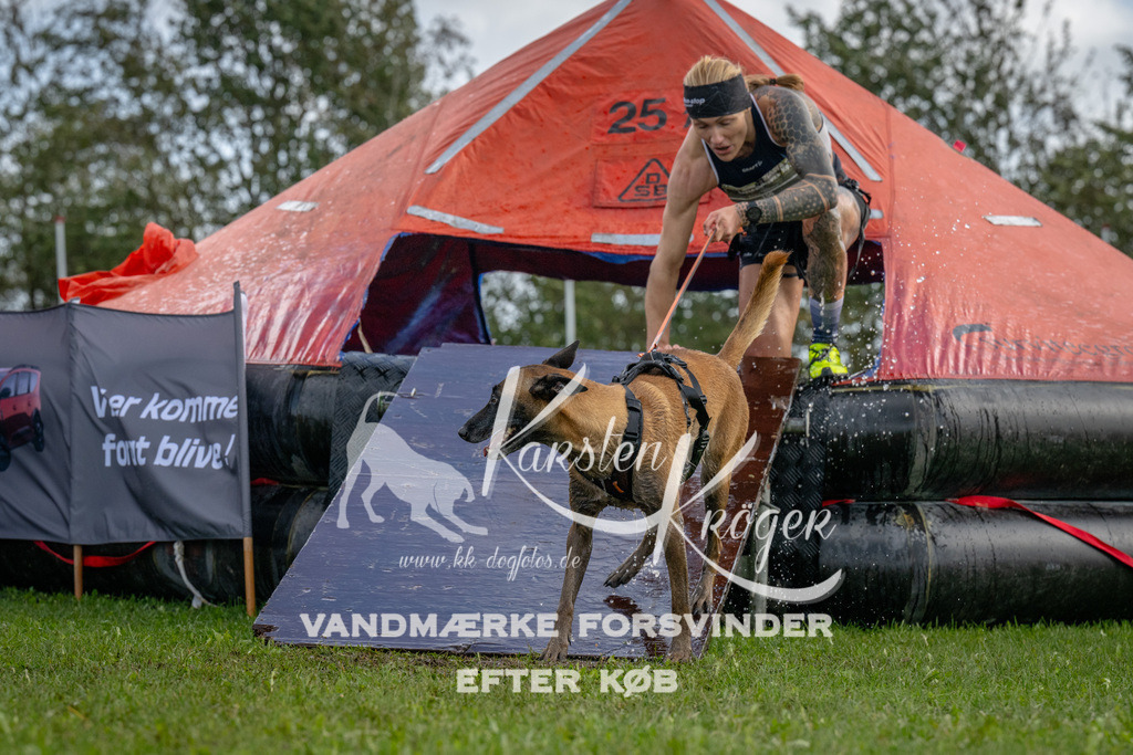 1218-93243 | kk-dogfotos