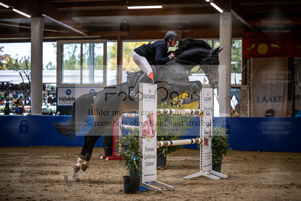 DOS_0613 | Entdecke hochwertige Reitturnierfotos von Foto Oger. Professionell, emotional und authentisch – jetzt Lieblingsmomente im Shop bestellen. - Realisiert mit Pictrs.com