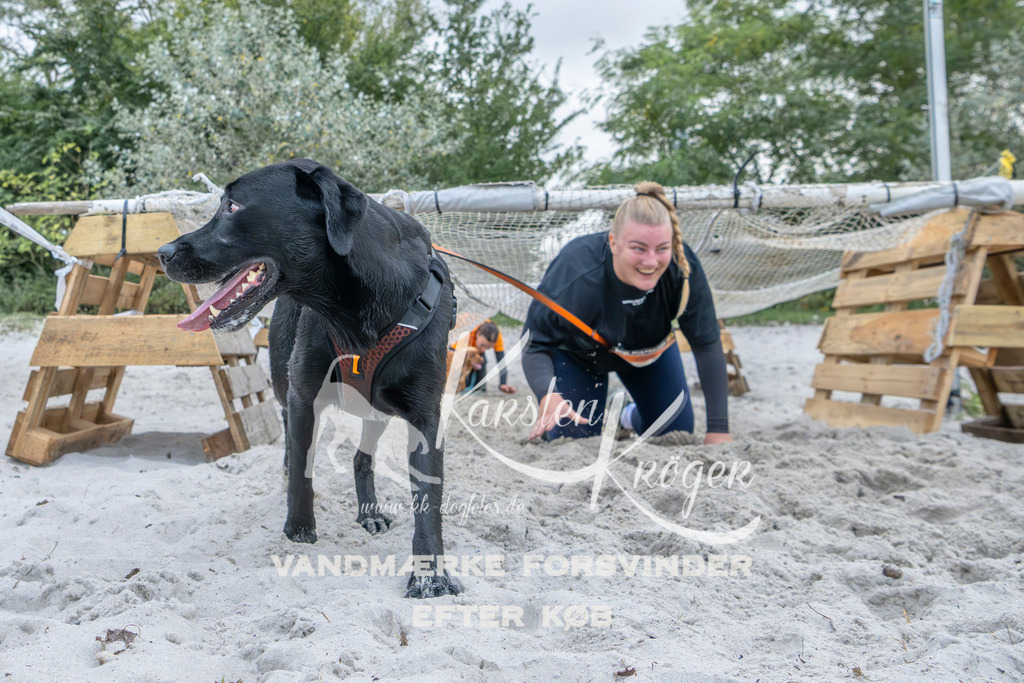 1122_ZZ96110 | kk-dogfotos