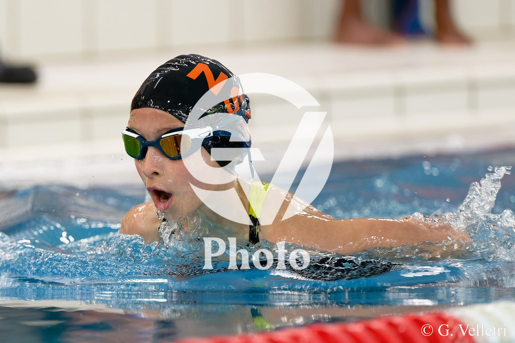 DSC_4466 | Velletri Photo