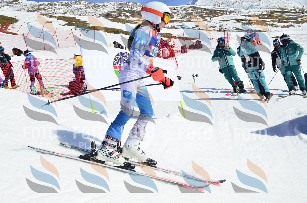 _ELE0777 | holidayphoto