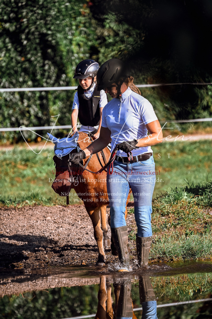 DSC_0481 | Pferde- und Turnierfotografie in Westsachsen. Pferdeportraits, Auftragszeichnungen und intuitive Kunst.
