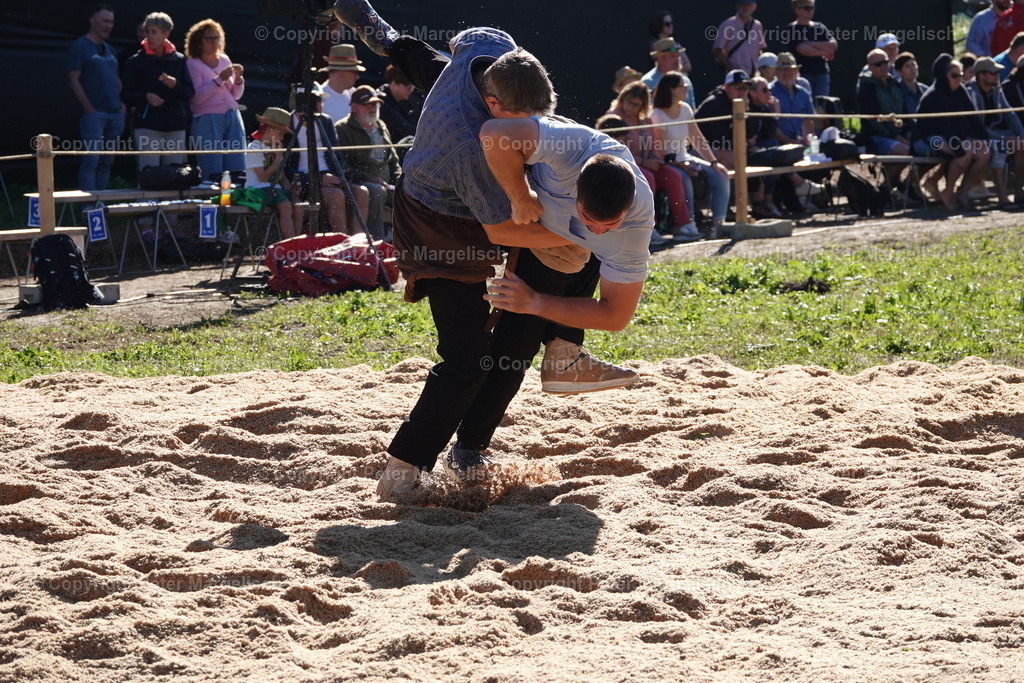 DSC01616 | Schwingen - Realisiert mit Pictrs.com