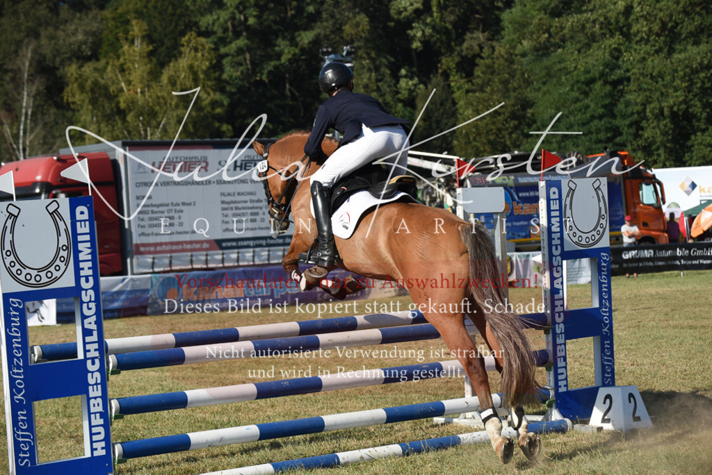 DSC_5237 | Pferde- und Turnierfotografie in Westsachsen. Pferdeportraits, Auftragszeichnungen und intuitive Kunst.