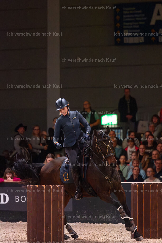 JoseraCup-162 | working equitationturnier fotograf videograf stoibphotography marixx film working equitation deutschland reitsport turnierfotografie eventfotografie equestrian events