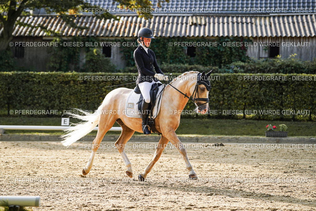 DSC04905 | Pferdegrafie