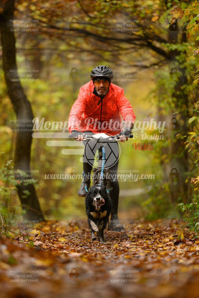 MompixPhotography_CD7S_DI_Bike-54 | mompixphotography