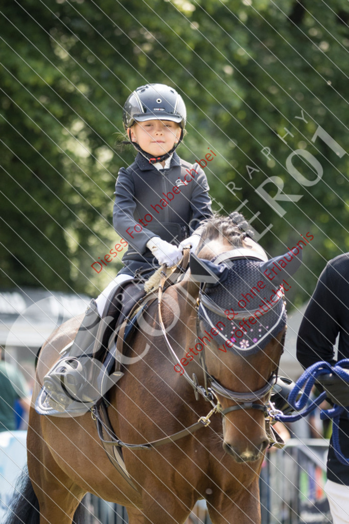 IMG_0203 | Sport-, Event- und Tierfotos in Profiqualität. Einfach auswählen, bestellen und herunterladen. Dein Moment – perfekt festgehalten.
