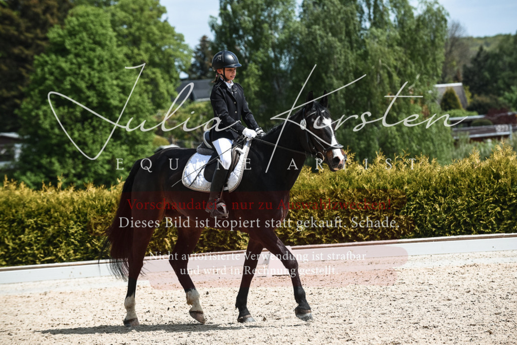 20230518_JK-Röhrsdorf-11-0678 | Pferde- und Turnierfotografie in Westsachsen. Pferdeportraits, Auftragszeichnungen und intuitive Kunst.