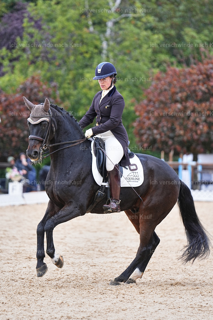 07-191-DRESSUR  S___  -Marixx-5124 | working equitationturnier fotograf videograf stoibphotography marixx film working equitation deutschland reitsport turnierfotografie eventfotografie equestrian events