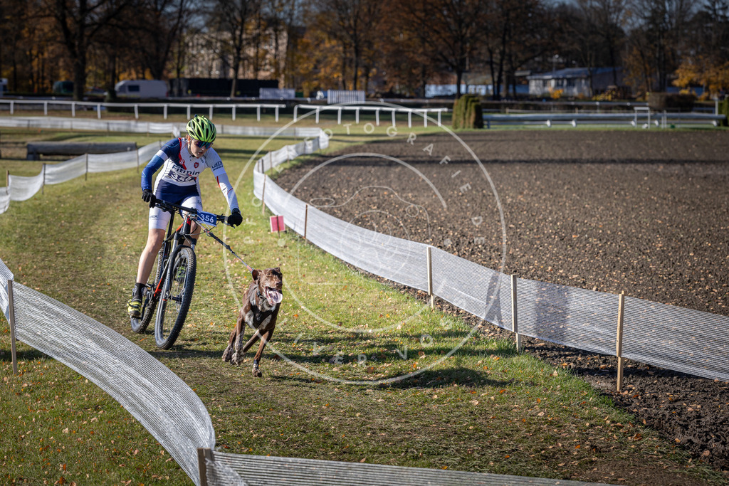 CaniXpix_DV3A7271 | Hundefotografie, Tierfotograf, Pfotenfotografie, Fotoshooting Hund, Hunde Portrait, Hundesport, Hundeportraits, Heideshooting, Hunde, Sportfotograf, Hundefotograf, Turnierhundsport, THS,  - Realisiert mit Pictrs.com