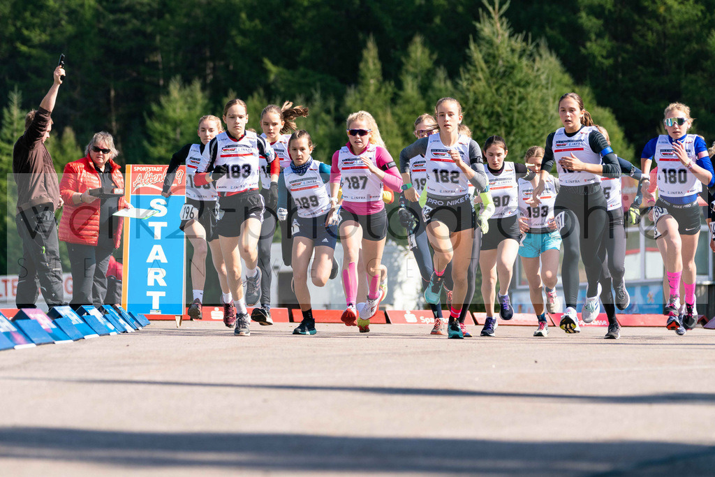 DSC Altenberg | DSC Altenberg in der SPARKASSEN-Arena, 24. September 2022
