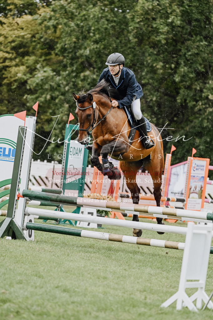 DSC_6992 | Pferde- und Turnierfotografie in Westsachsen. Pferdeportraits, Auftragszeichnungen und intuitive Kunst.