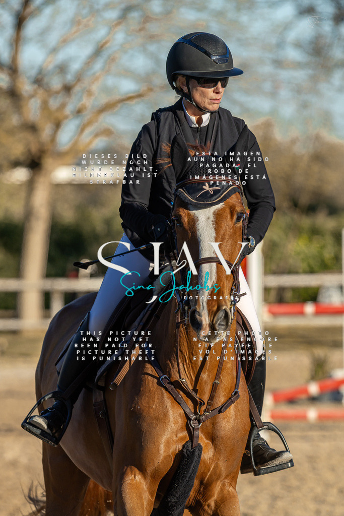 IMG_2490 | s-jay-photography - Realisiert mit Pictrs.com