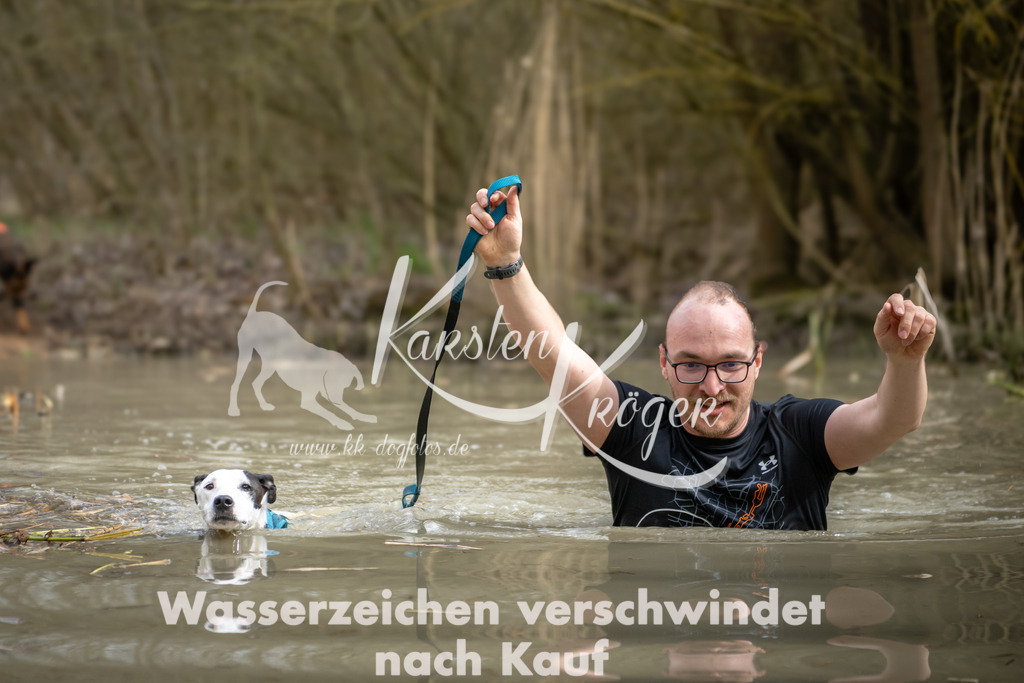 1556_ZZ94520 | kk-dogfotos