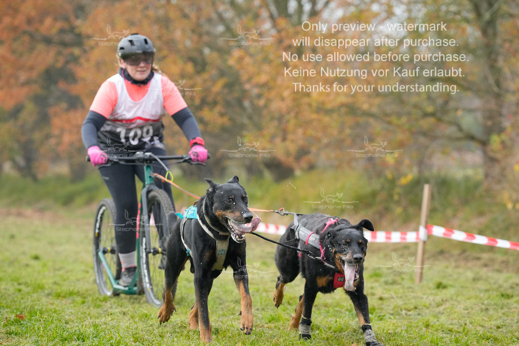 Visbeck_Sa_DS2DR2-92 | stephaniefillaphotographie - Realisiert mit Pictrs.com