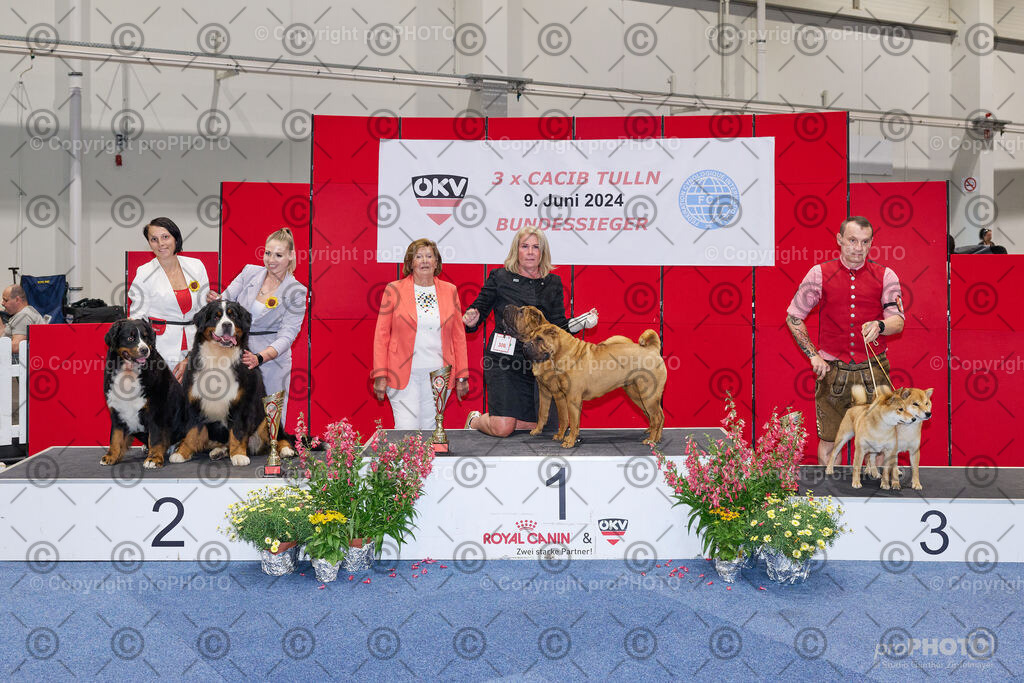 202406_ÖKV-IHA-Tulln24_NZ9_9475 | proPHOTO - Realisiert mit Pictrs.com