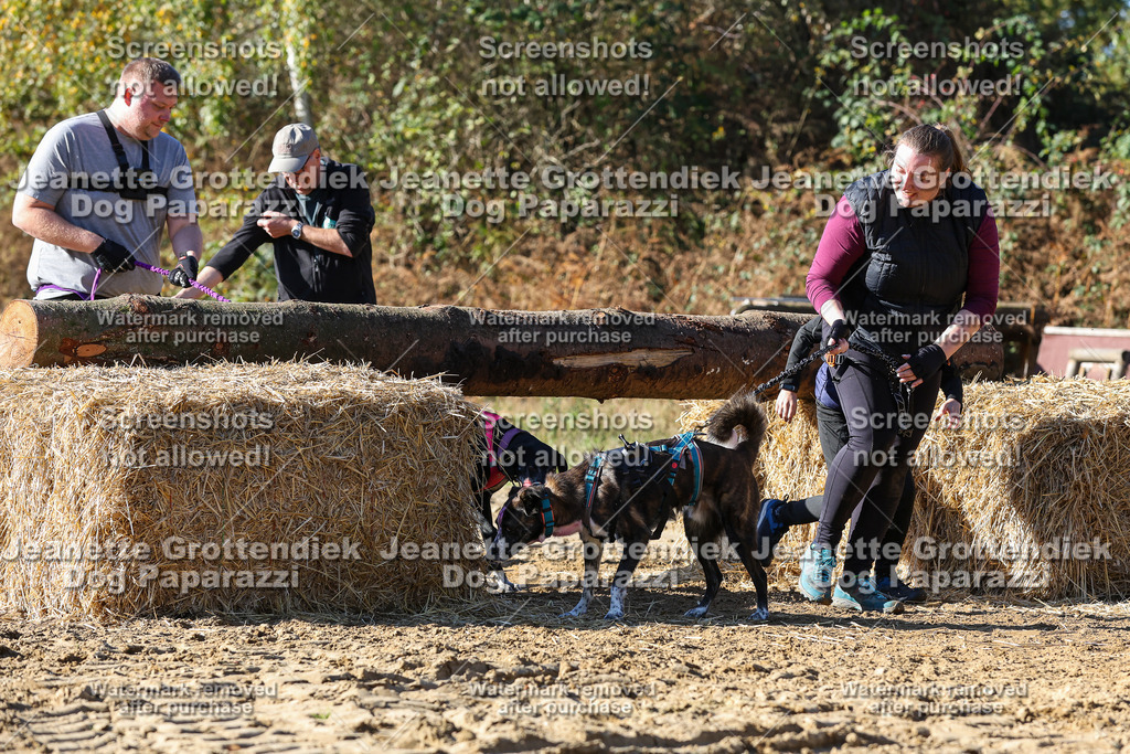 Dog Paparazzi - Strongdog 10-25-2840 | Dog Paparazzi Jeanette Grottendiek Fotografie & Videografie - Realisiert mit Pictrs.com