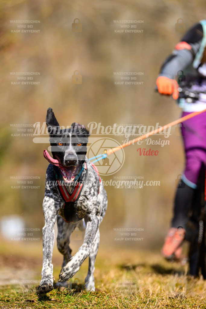 MompixPhotography_Schwabentrail2025_SO_Bike-93 | PayLife