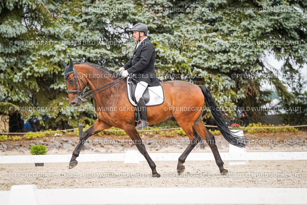 DSC07203 | Pferdegrafie