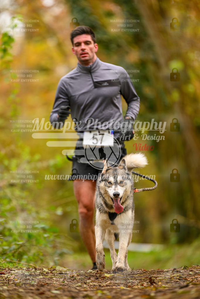 MompixPhotography_Bischwiller24_SA_Canicross-47 | PayLife