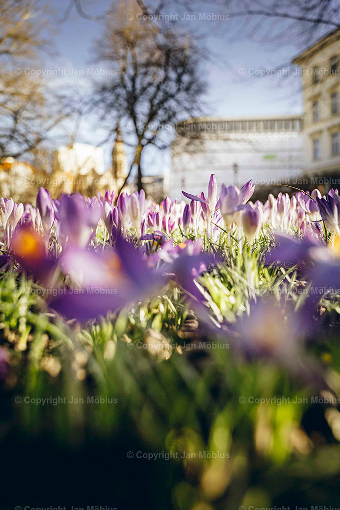 _DSC3466 | Leipzig Wandbilder Drucke Prints Leinwand Stadtmotive Leipzig Fotosdruck Kunstdrucke Bilder Leipzig Stadtansichten Acrylglasbilder Leipzig Wanddeko Fine Art Prints Wandbilder Büro Leipzig Bilder Praxis Zuhause Bilderdruck Poster Posterlounge Kunstdrucke - Realisiert mit Pictrs.com