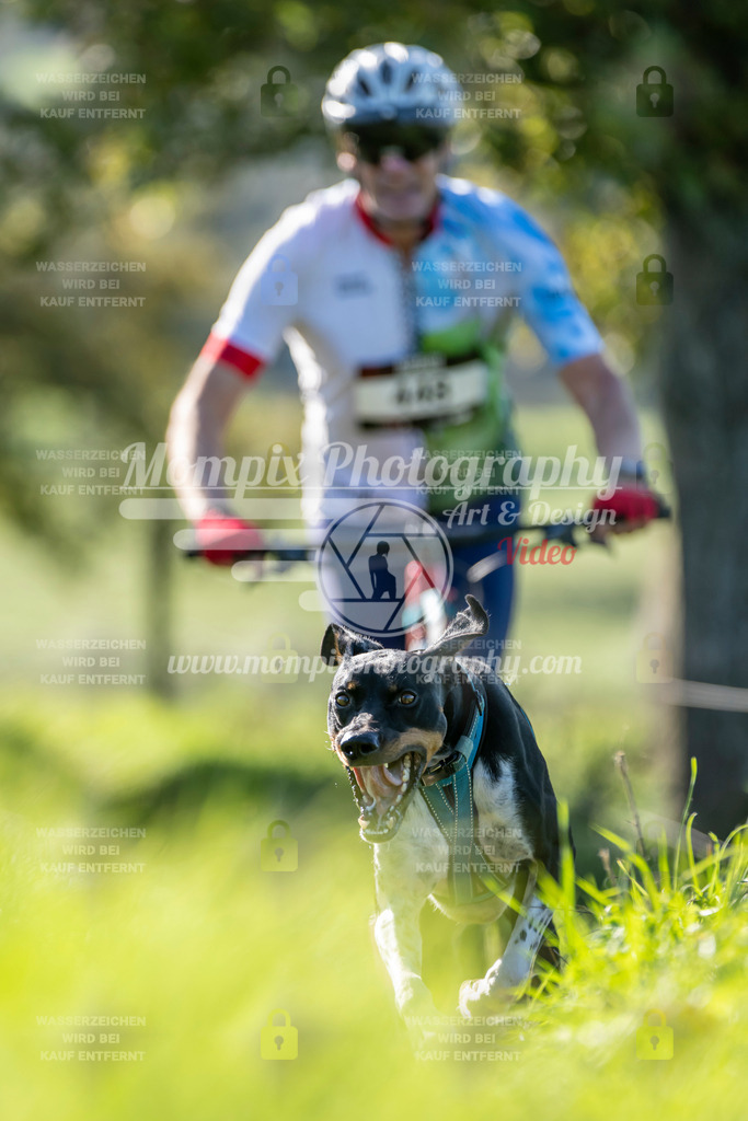 MompixPhotography_20TSB_E3_DS1-48 | PayLife