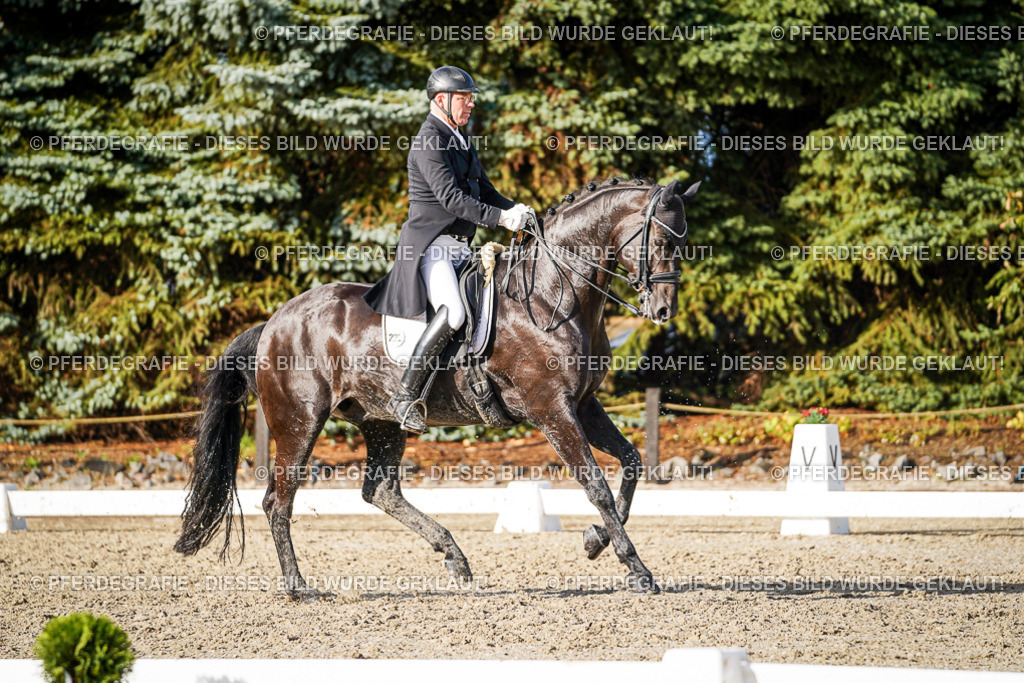 DSC00850 | Pferdegrafie