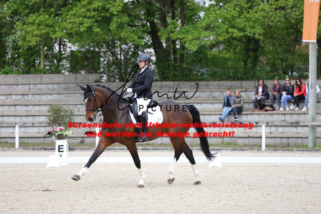 A40A4190 | lmwpictures - Realisiert mit Pictrs.com