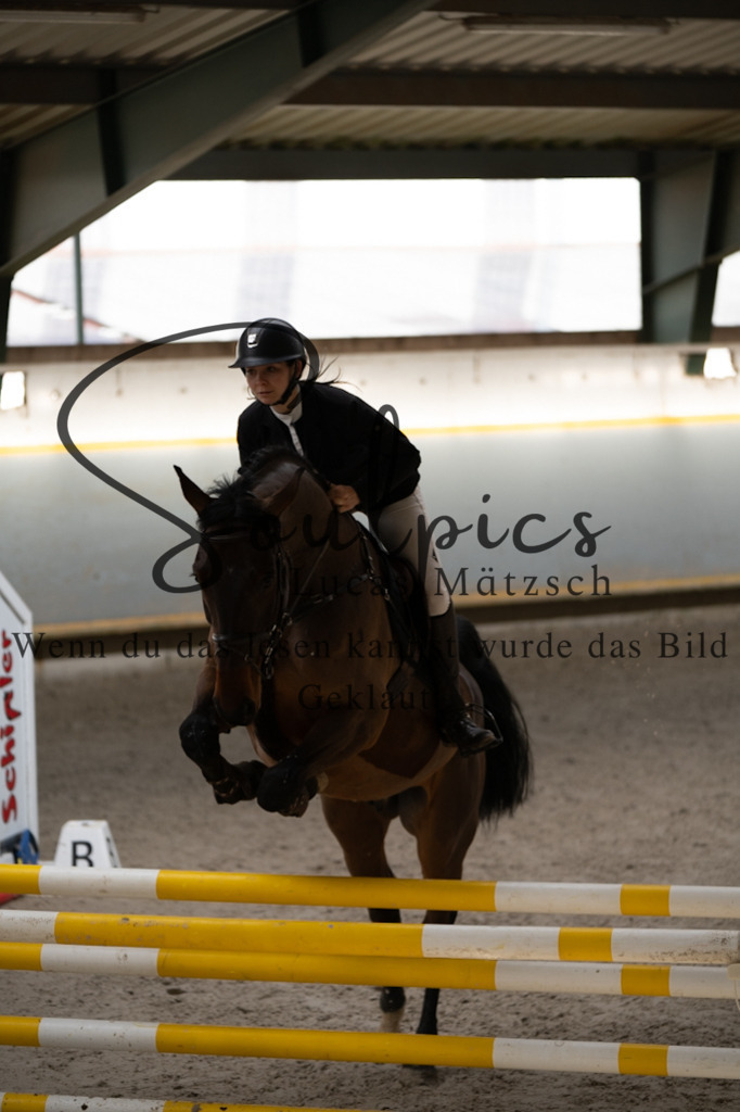 A7V02383 | Pferdefotograf