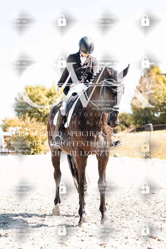 CK909925 | Turnierfotografie Pferdefotografie Trier Rheinland-Pfalz Pferdesport Reitsport Tierfotografie Sportfotografie Pferdevideo Pferdevideografie Equestrianvideography equestrianphotography  - Realisiert mit Pictrs.com