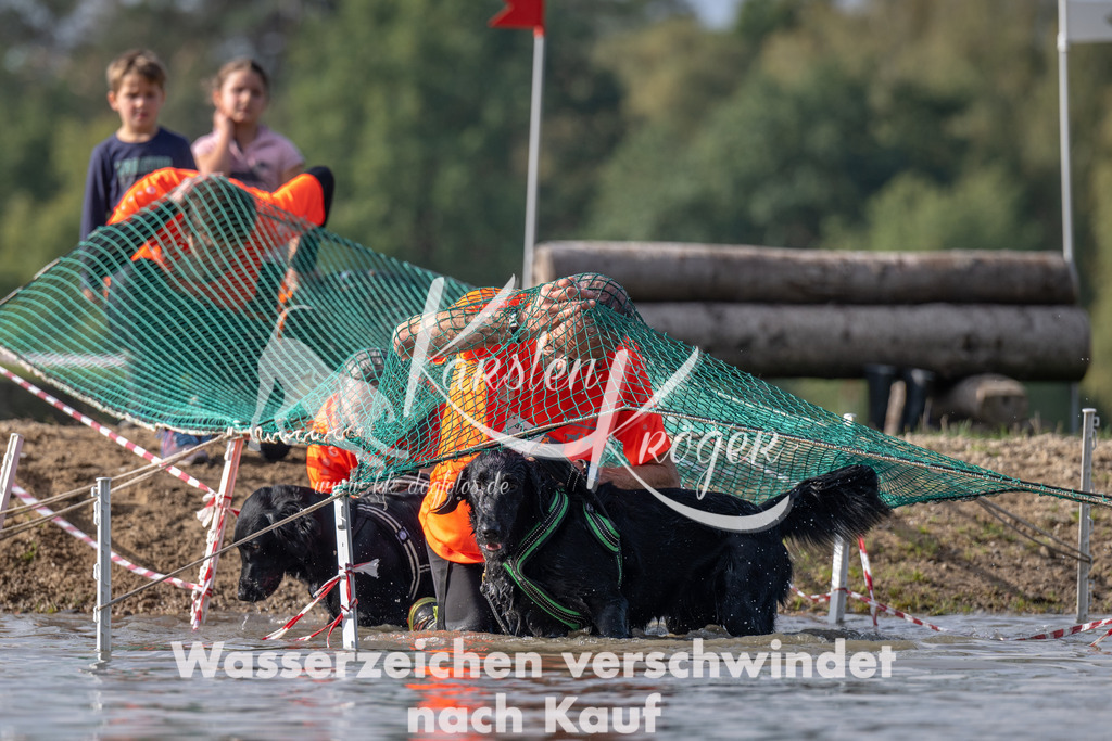 1145_ZZ93944 | kk-dogfotos