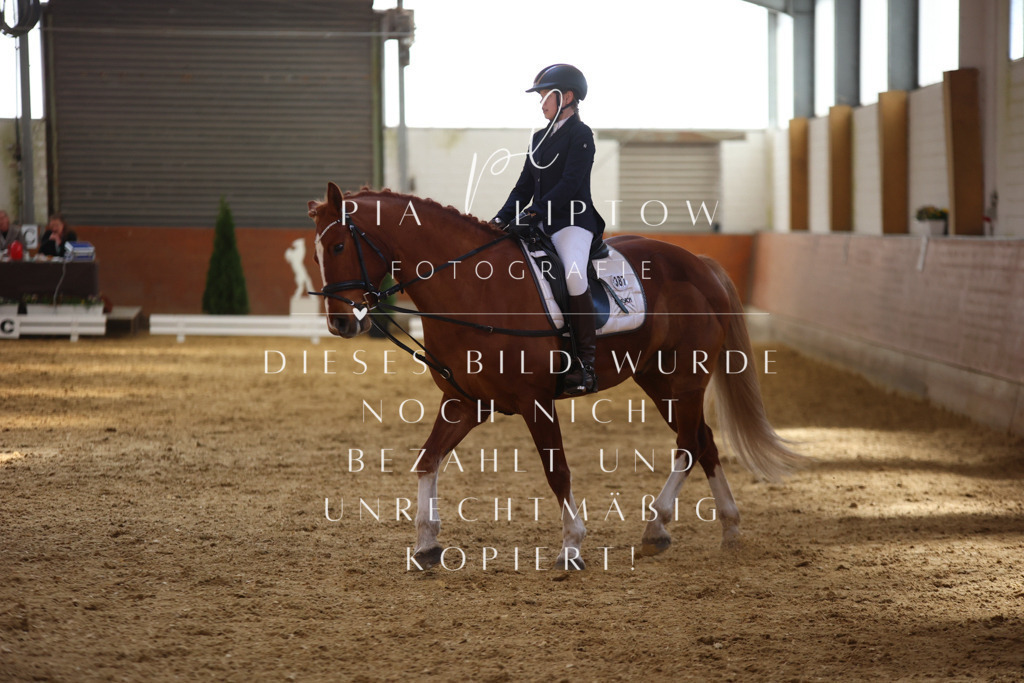 IMGT0686 | pl-fotografie