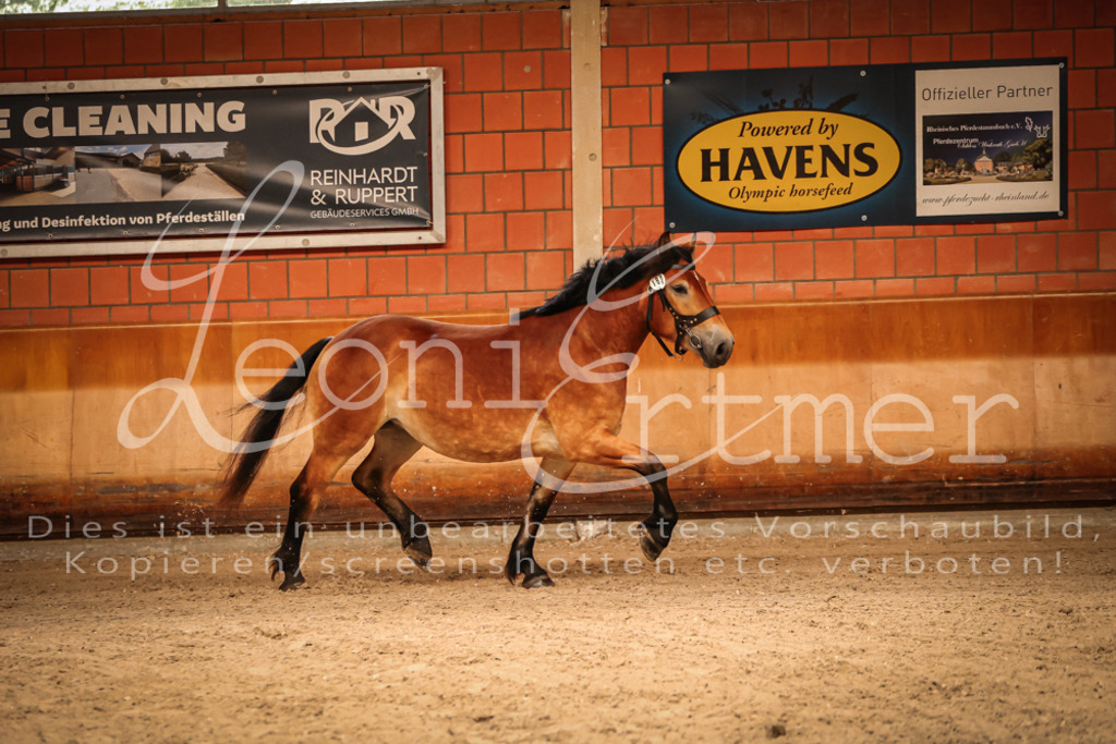 SaFL00094 | Leoni Ertmer Photography - Realisiert mit Pictrs.com